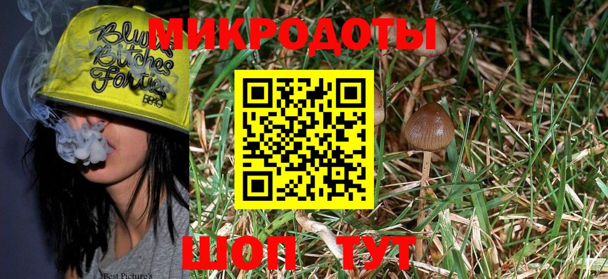 Галлюциногенные грибы мицелий  Галлюциногенные грибы Magic Shrooms  Вход с VPN  Малгобек 