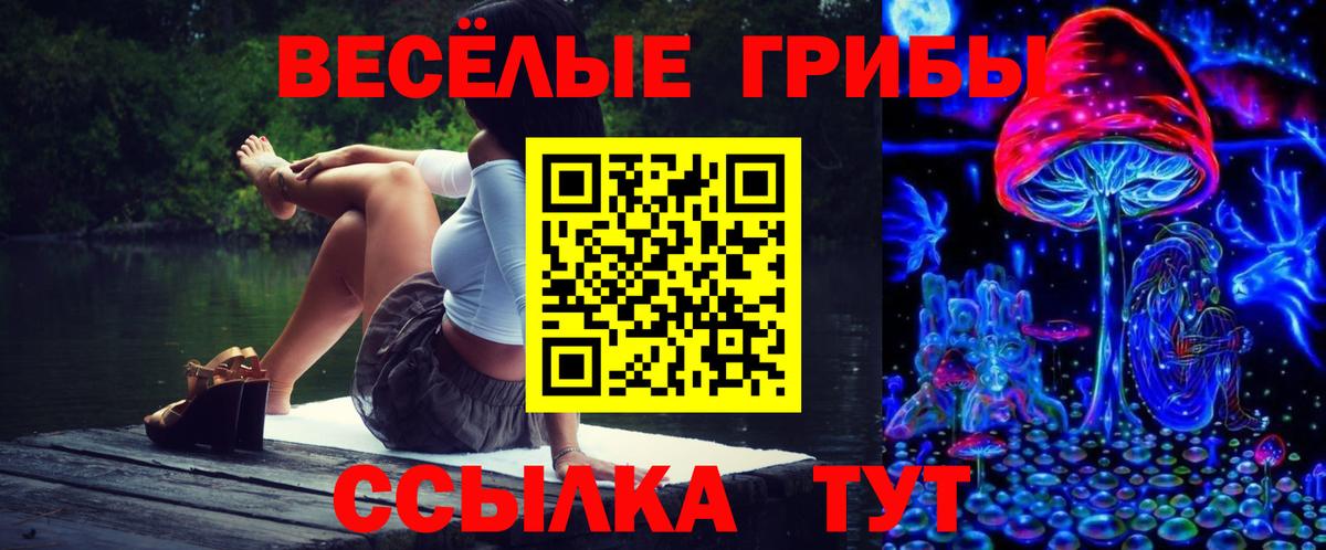 Псилоцибиновые грибы ЛСД Малгобек